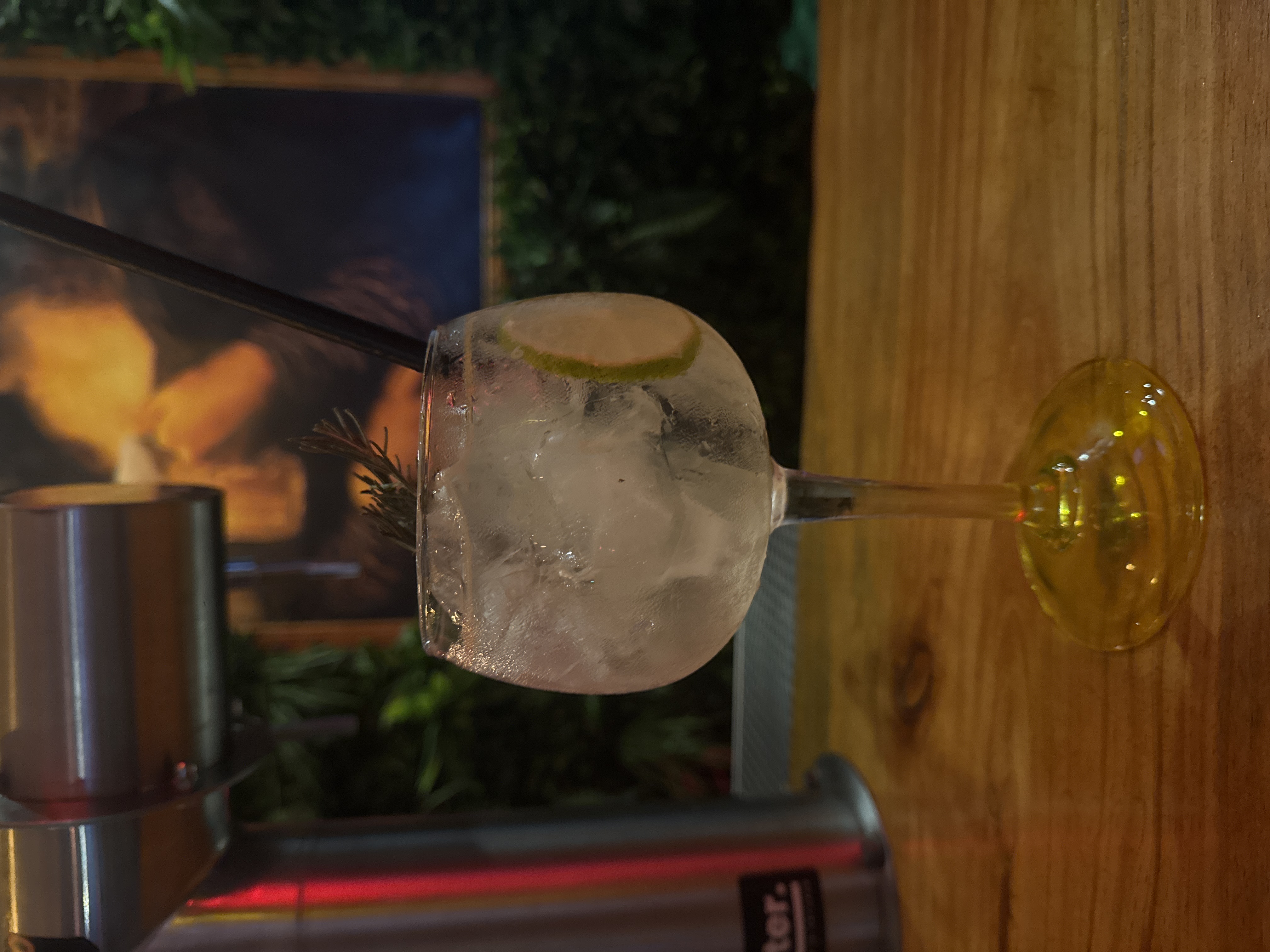 GinTonic Sin Alcohol